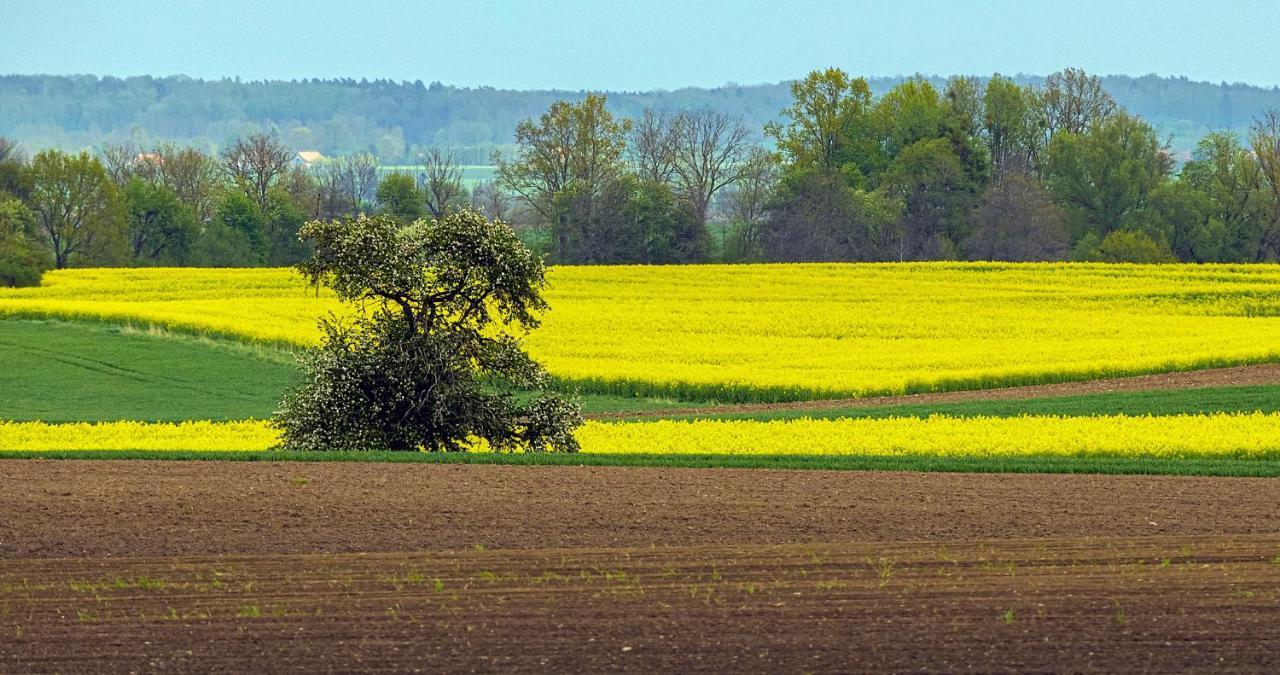 Cztery Luksusowe Domy Na Mazurach, Jezioro Juksty - Sakurarest Sniadowo  Exterior photo